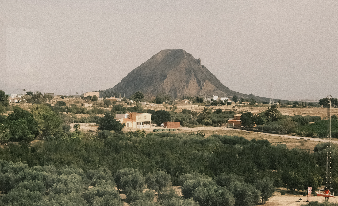 Mediterranean Science, <br>Grown in Spain